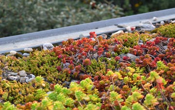the cost of Carnsmerry green roof installation