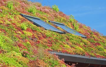 Carnsmerry living roof systems